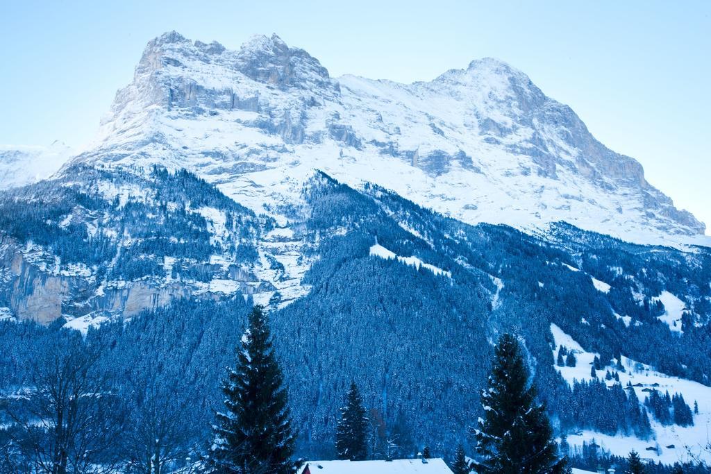 Bernerhof Residence Grindelwald Eksteriør billede